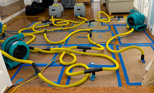 Professional Structural Drying And Dehumidification technician working in Frankfort, IN
